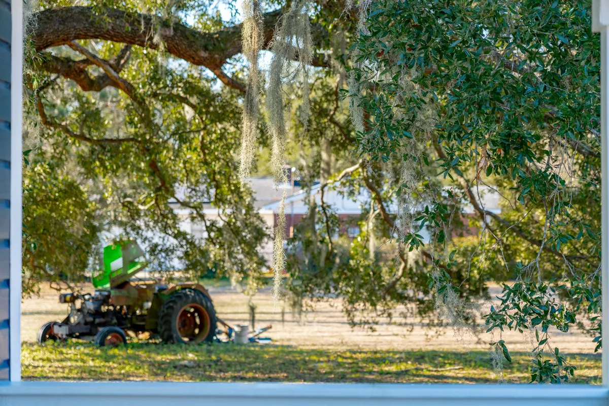 This exterior image highlights a large tree draped in moss, a vintage tractor, and distant houses—capturing the rustic charm and natural beauty of the area. The setting suggests opportunities for exploration and play, echoing the section's invitation to discover local preserves and enjoy the outdoors together.